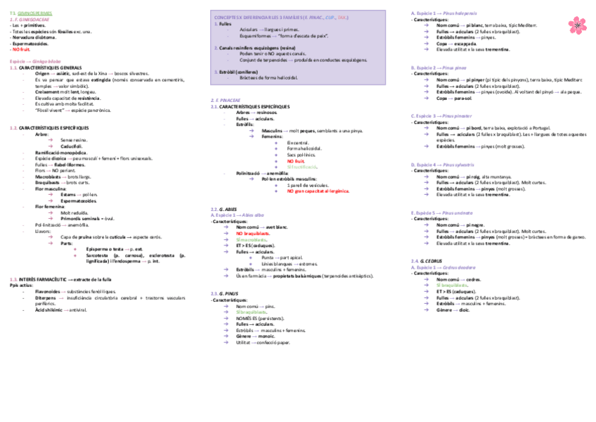Miniatura del documento T3-PLANTES.-GIMNOSPERMES.pdf