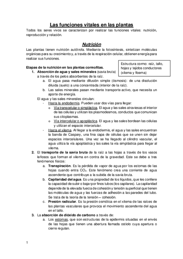 Miniatura del documento Resumen-Las-funciones-vitales-en-las-plantas.pdf