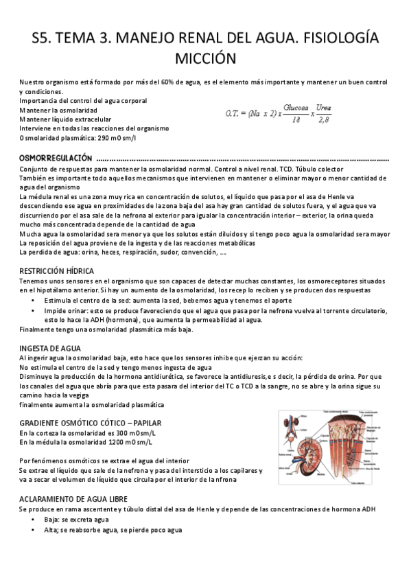 Miniatura del documento S5.-Tema-3.-Manejo-renal-del-agua-y-fisiologia-de-la-miccion.pdf