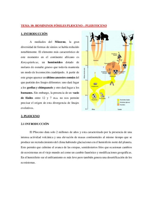 Miniatura del documento AP-Antropologia-Tema-10-WH.pdf