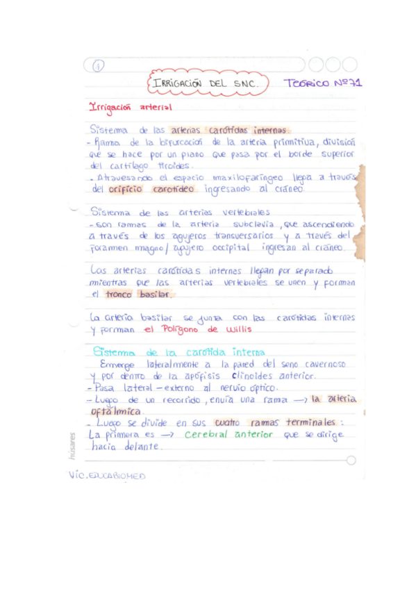 Miniatura del documento Irrigacion-snc.pdf
