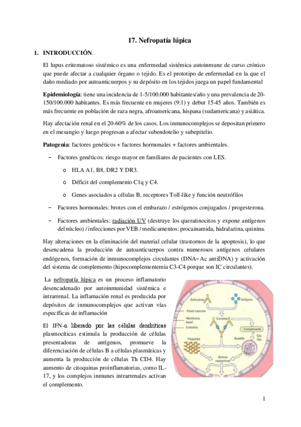 Miniatura del documento 17.-Nefropatia-lupica.pdf