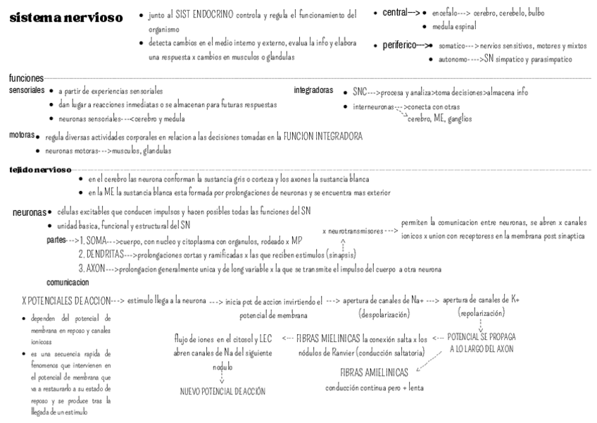 Miniatura del documento sistema-nervioso.pdf