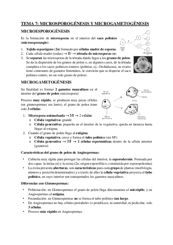 Miniatura del documento TEMA-7-11-BOTANICA-II.pdf