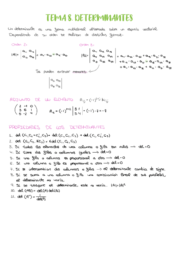 Miniatura del documento Determinantes EVAU.pdf