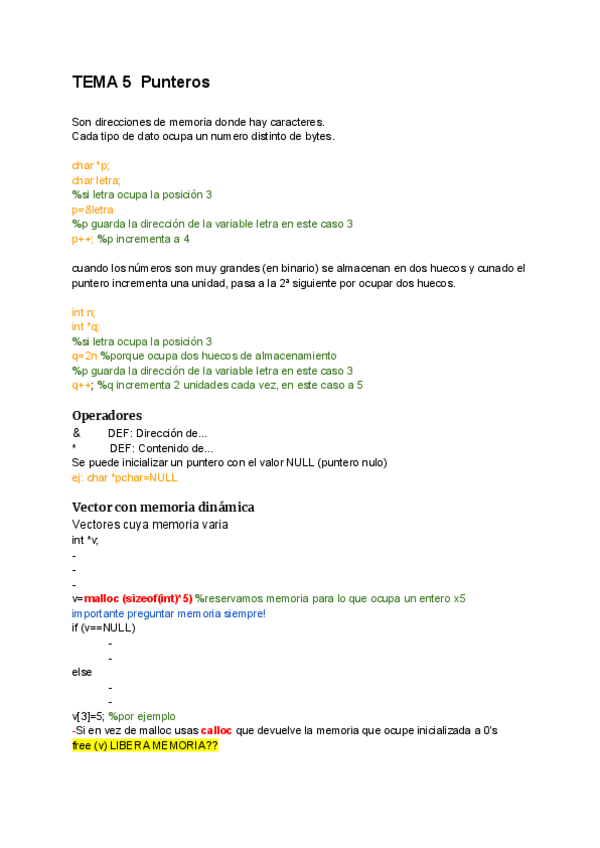 Miniatura del documento TEMA-5-Punteros.pdf