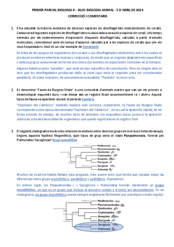 Miniatura del documento Examen Parcial 2024-Bio II Zoo.pdf