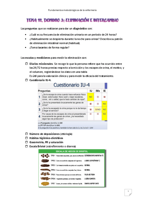 Miniatura del documento Tema-11.-Dominio-3.pdf