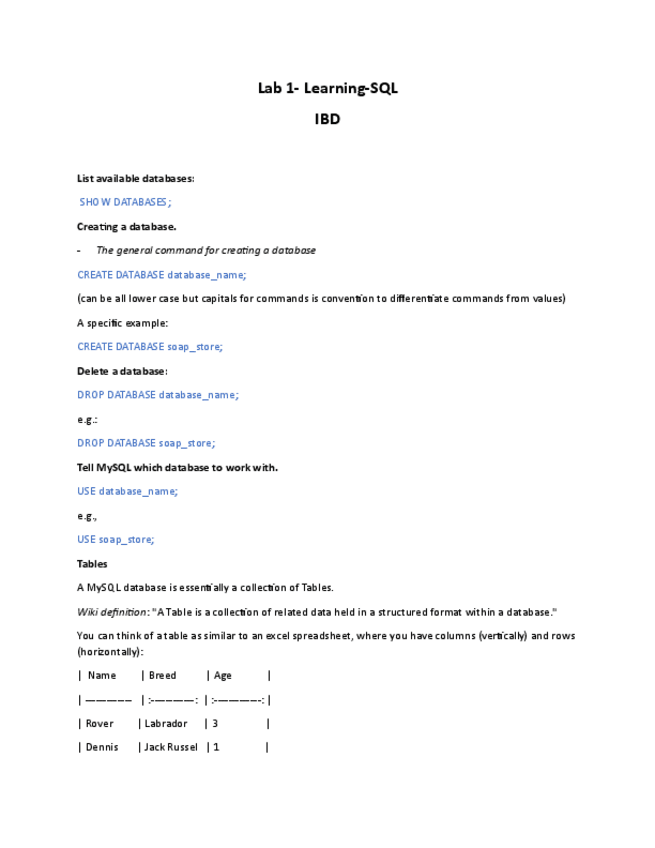 Miniatura del documento Infrastructures-per-al-Big-Data-Laboratori-1.pdf