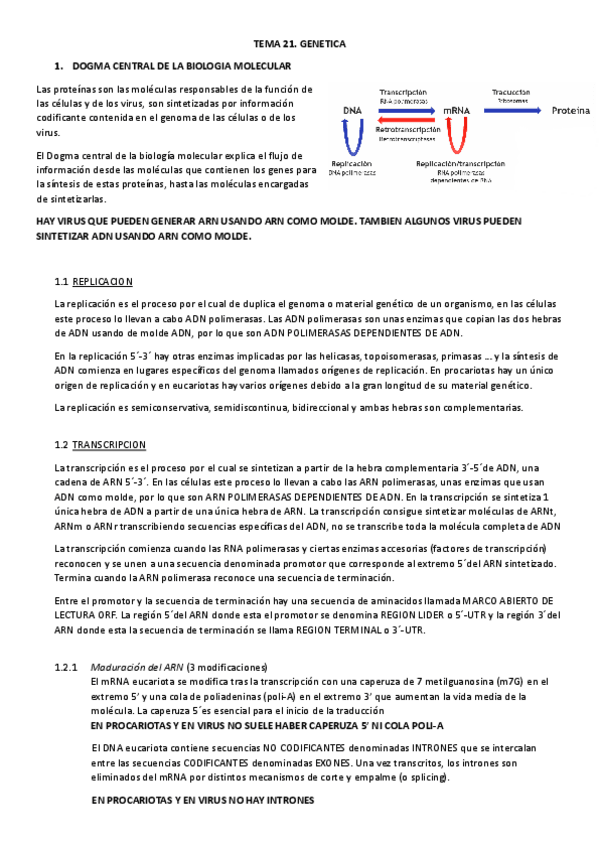 Miniatura del documento TEMA-21-MICRO.pdf