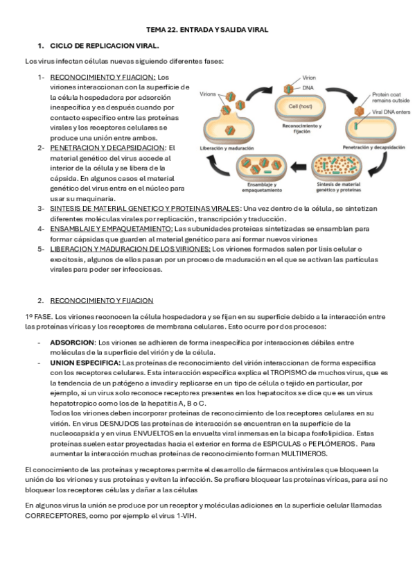 Miniatura del documento TEMA-22-MICRO.pdf