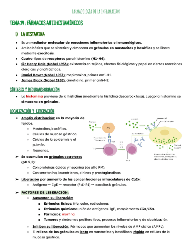 Miniatura del documento Temas 29-31: Antihistaminicos y AINEs.pdf