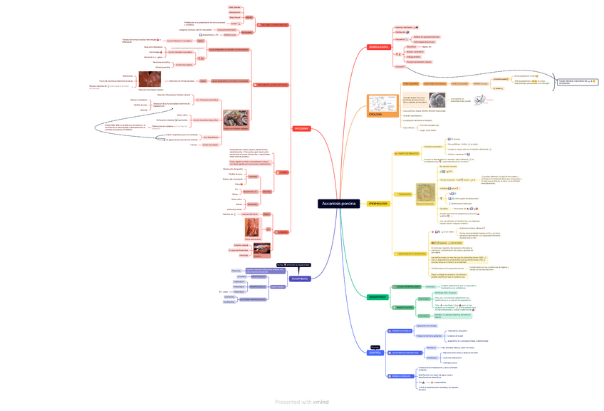 Miniatura del documento Ascariosis-porcina.pdf