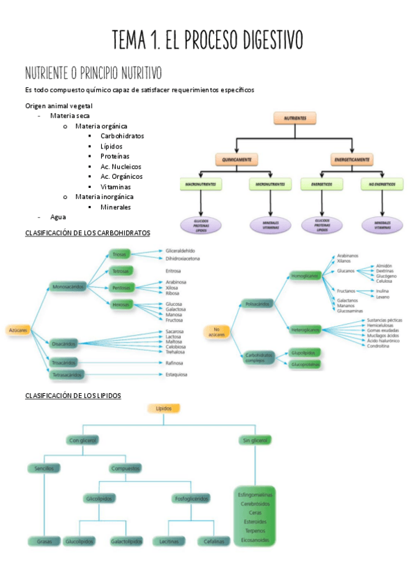 Miniatura del documento UNIDAD-4.pdf