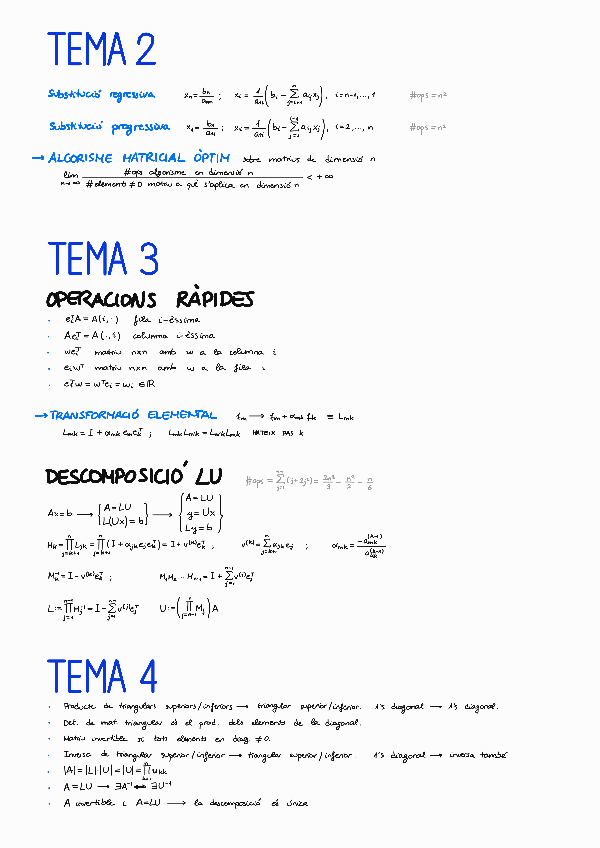 Miniatura del documento Resumet.pdf