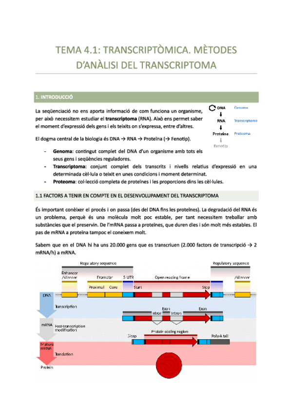 Miniatura del documento Tema-4.1-Metodes-danalisi-del-transcriptoma.pdf