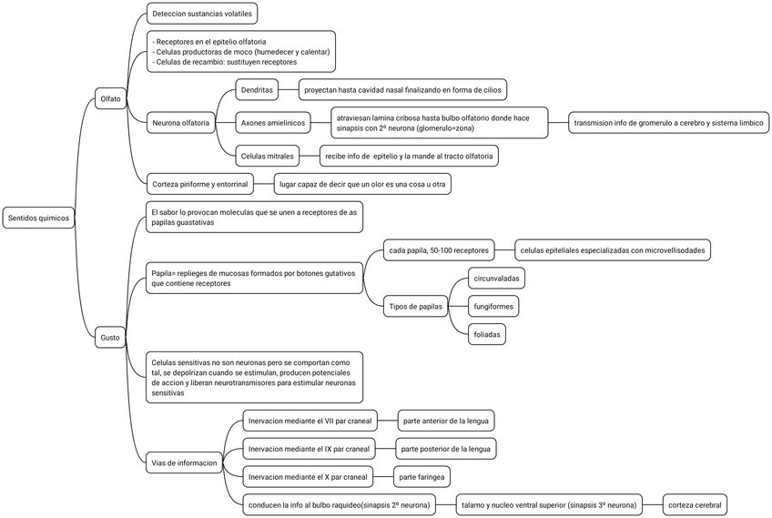 Miniatura del documento 8.-Sentidos-quimicos.pdf