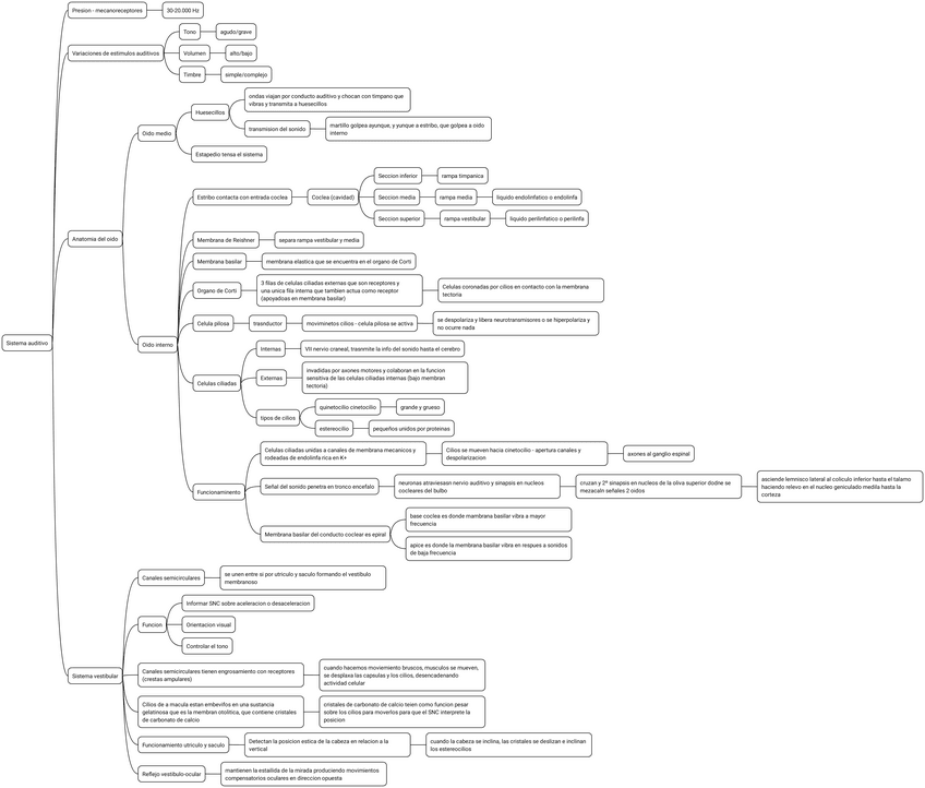 Miniatura del documento 9.-Sistema-auditivo.pdf