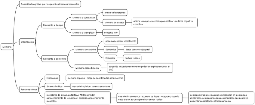 Miniatura del documento 13.-Memoria.pdf