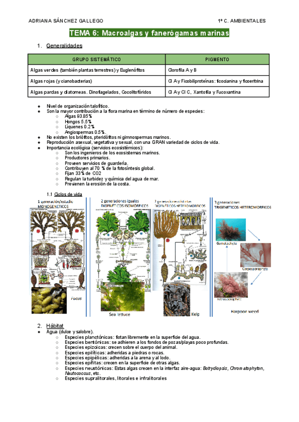 Miniatura del documento Tema- 7-Macroalgas-y-fanerogamas-marinas.pdf