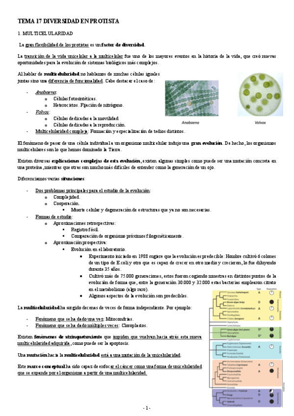 Miniatura del documento MICROBIOLOGIA-TEMA-17-DIVERSIDAD-EN-PROTISTA.pdf