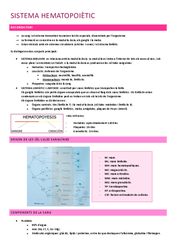 Miniatura del documento SISTEMA-HEMATO.pdf