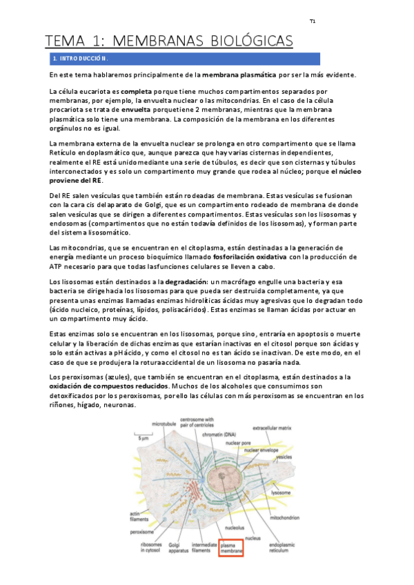 Miniatura del documento Temas-1-5-SIN-ANUNCIOS.pdf