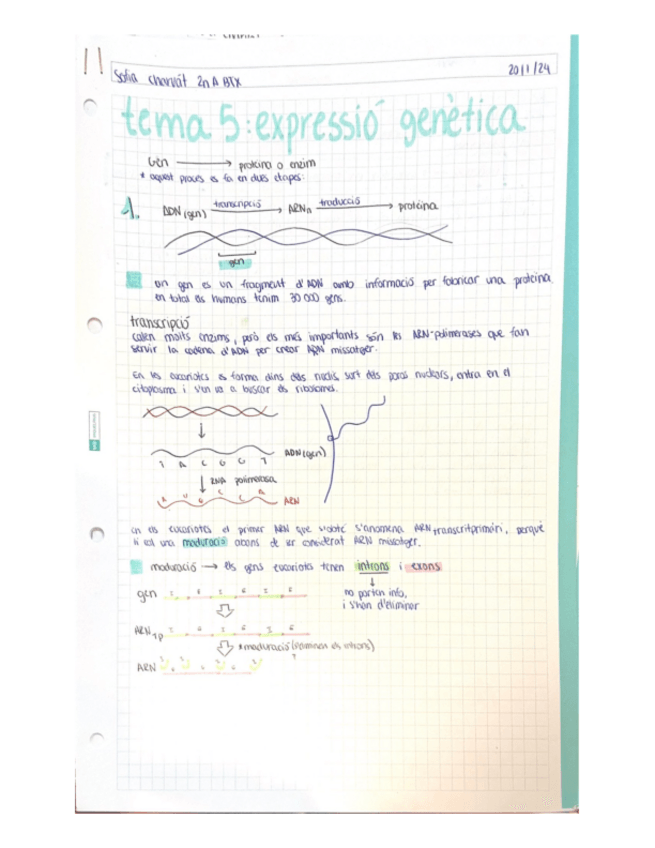 Miniatura del documento Expressio-genica.pdf