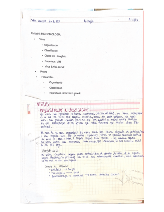 Miniatura del documento Unitat-6-MICROBIOLOGIA.pdf