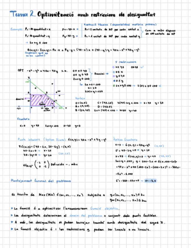 Miniatura del documento Tema-2.-Optimitzacio-amb-Restriccions-De-Desigualtat.pdf