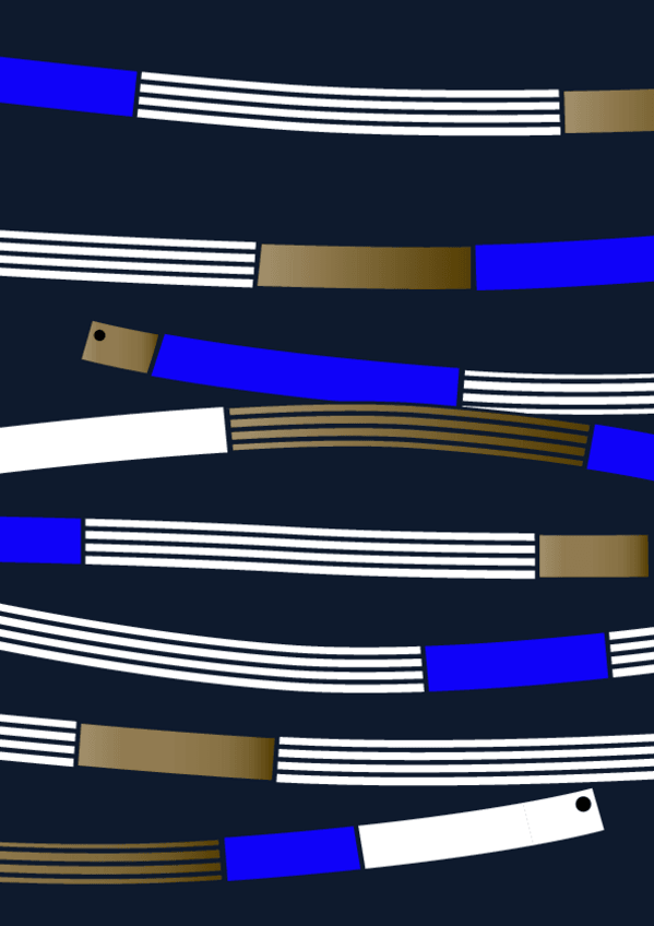 Miniatura del documento Resumen-Evolutivo.pdf