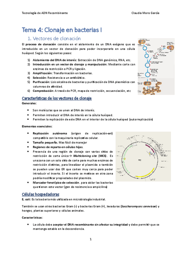 Miniatura del documento Tema-4.1.pdf