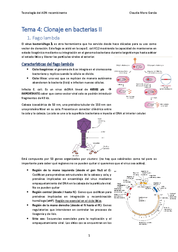 Miniatura del documento Tema-4.2.pdf
