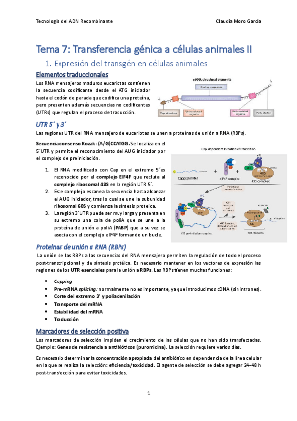 Miniatura del documento Tema-7.2.pdf