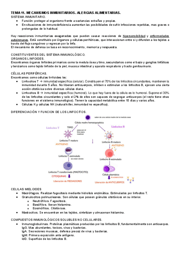 Miniatura del documento TEMA-11.pdf