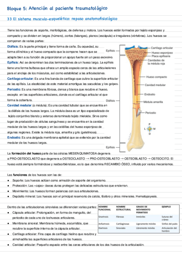 Miniatura del documento Bloque-5-paciente-traumatologico.pdf