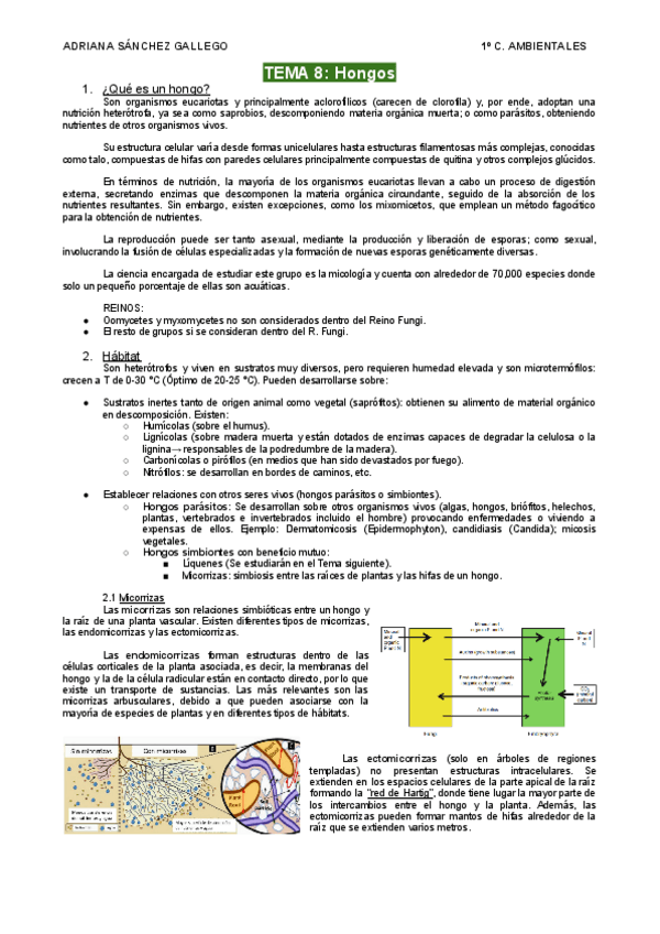 Miniatura del documento Tema-8-Hongos.pdf