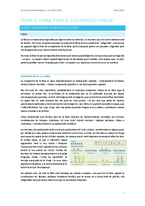 Miniatura del documento Tema-5.-Fibra-femta-polifenols-i-aigua.pdf