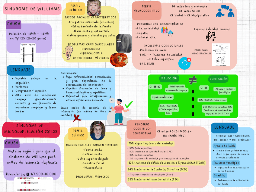 Miniatura del documento Sindrome-de-williams-y-microduplicacion.pdf