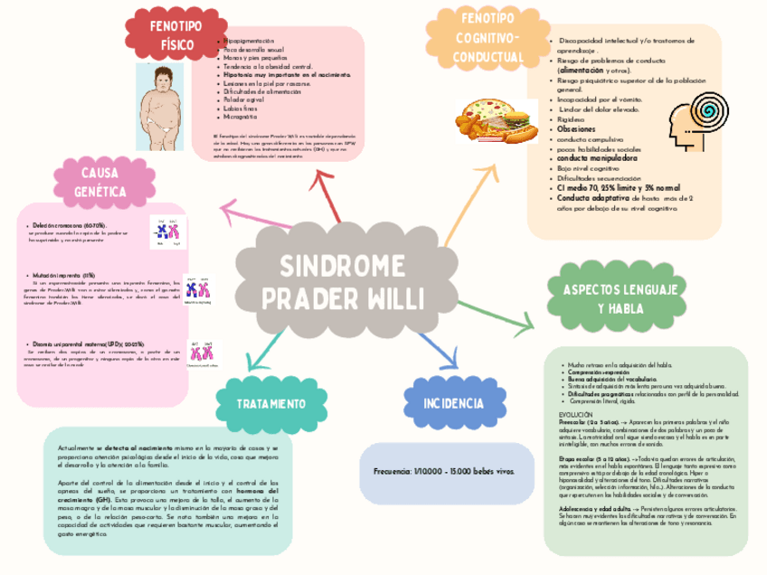 Miniatura del documento SINDROME-PRADER-WILLI.pdf
