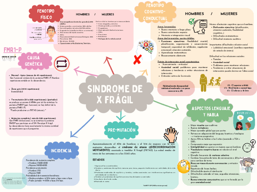 Miniatura del documento SINDROME-X-FRAGIL.pdf