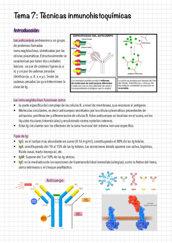 Miniatura del documento Tema 7. Técnicas inmunohistoquímicas..pdf