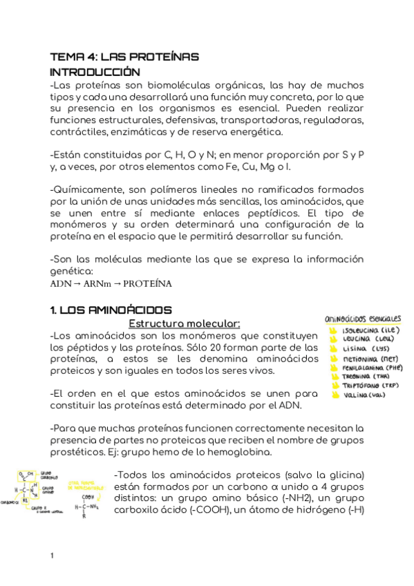 Miniatura del documento Tema-4-Las-proteinas.pdf