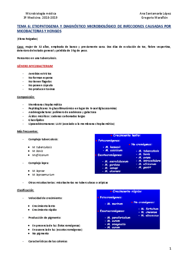 Miniatura del documento Tema 6 - Micobacterias y hongos.pdf