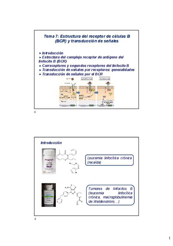 Miniatura del documento Tema-7-Estructura-del-receptor-de-cAclulas-B-BCR-y-transducciAn-de-seAales-2023-2024-x2.pdf