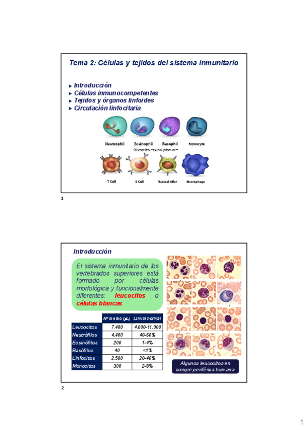 Miniatura del documento Tema-2-Celulas-y-Tejidos-del-sistema-inmune-2023-2024-x2-2024-03-05-163237.pdf