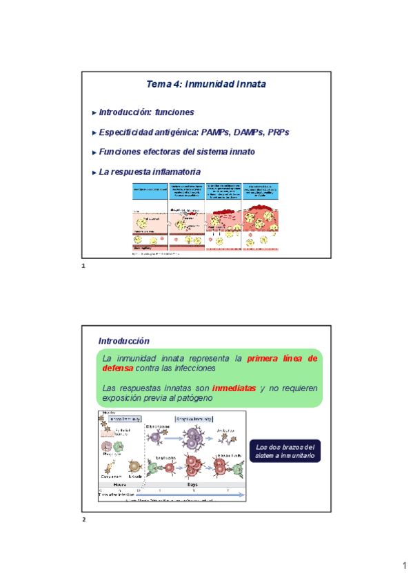 Miniatura del documento Tema-4-Inmunidad-Innata-2023-2024-x2-2024-03-05-163235.pdf