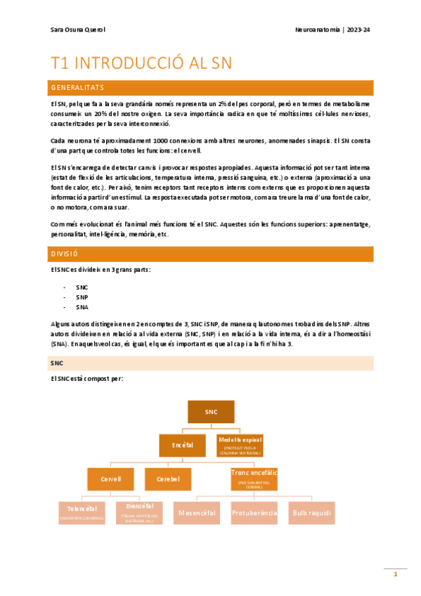 Miniatura del documento neuroanatomia 2024.pdf