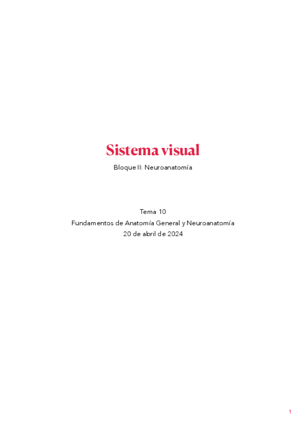 Miniatura del documento tema-10.-Sistema-visual.pdf