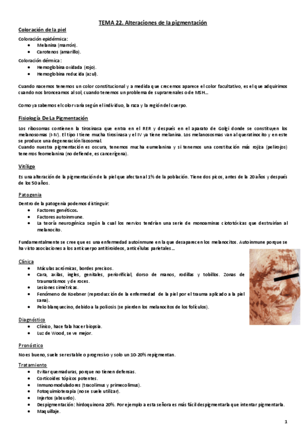 Miniatura del documento Tema 22. Alteraciones de la pigmentación.pdf